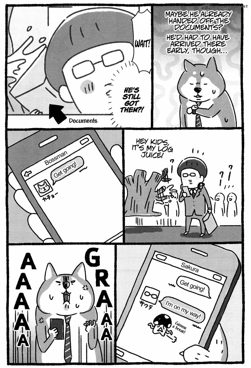 Shiba Occhan 16 7