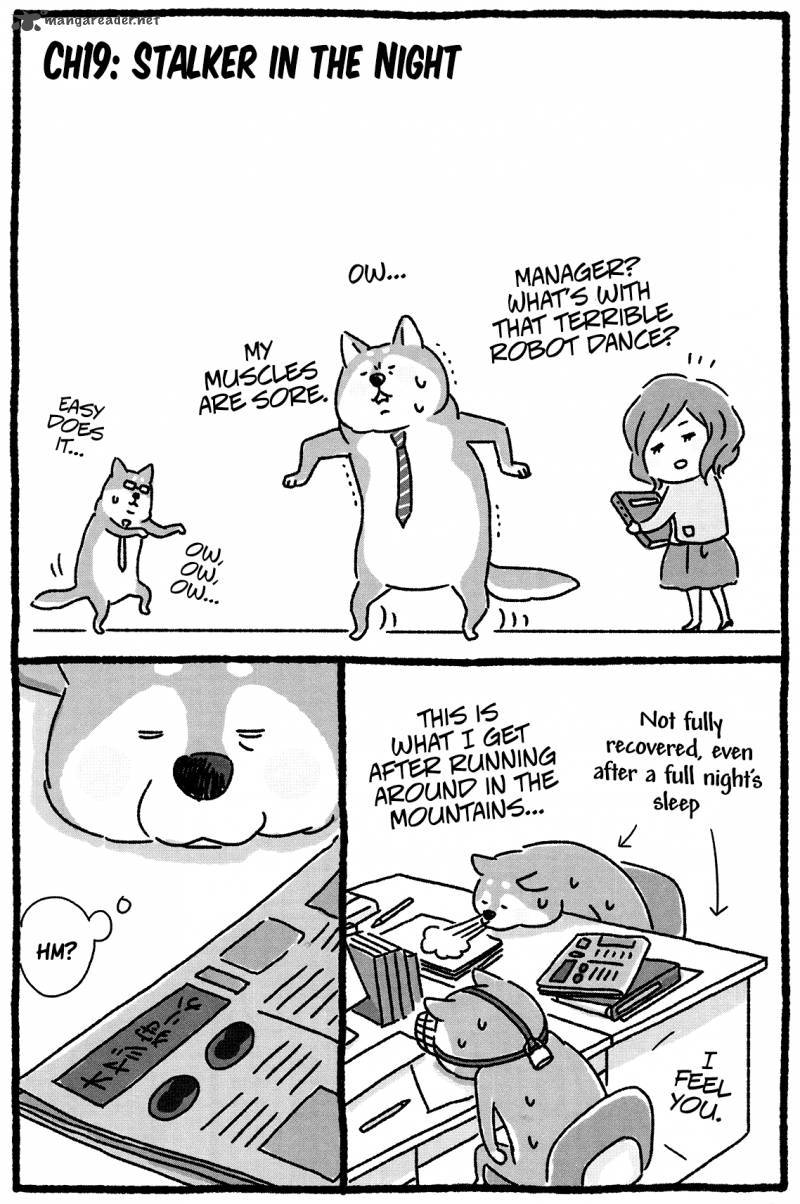 Shiba Occhan 19 1