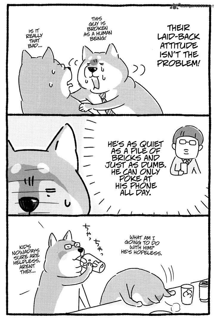 Shiba Occhan 4 3