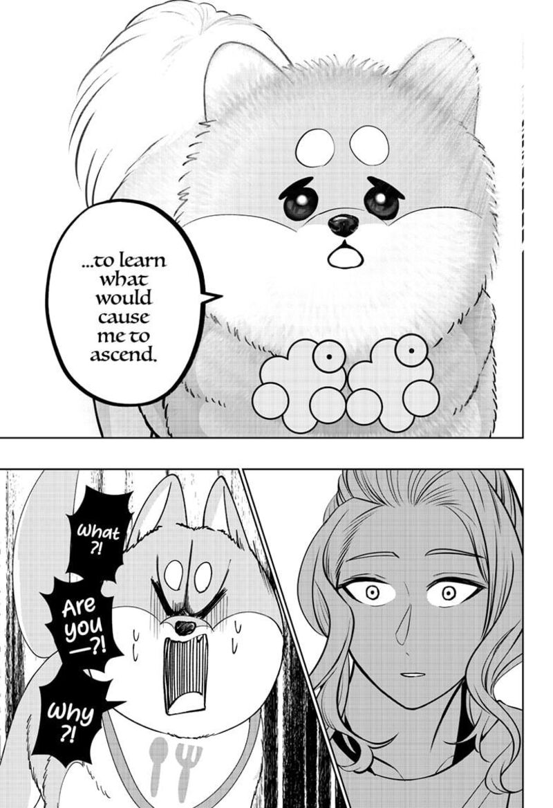 Shiba Tsuki Bukken 34 13