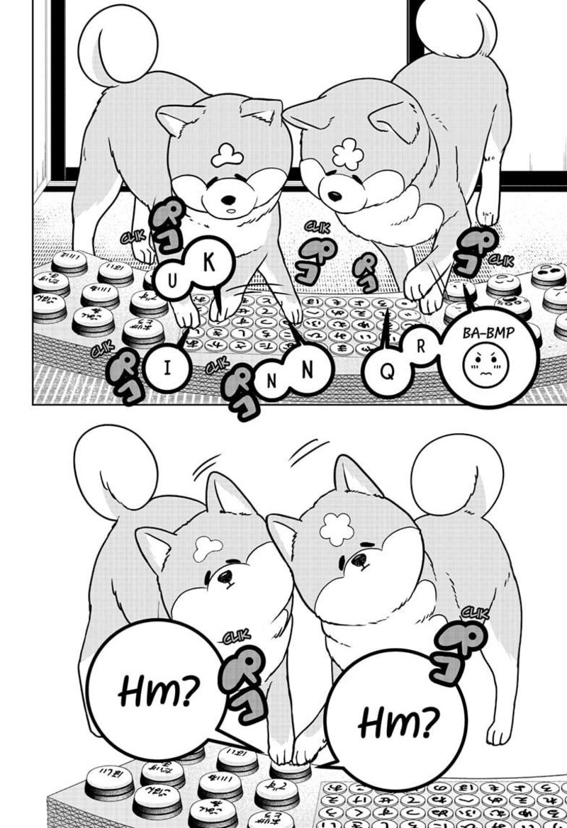 Shiba Tsuki Bukken 35 12