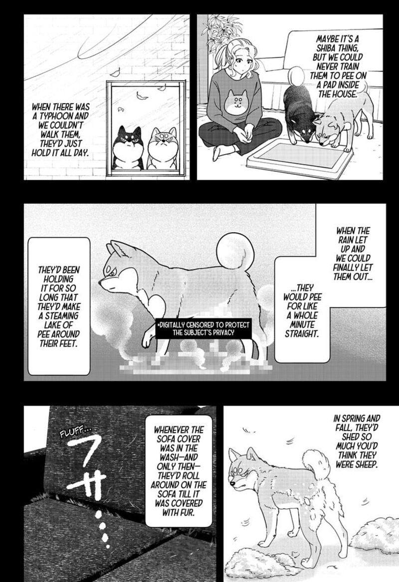 Shiba Tsuki Bukken 41 16