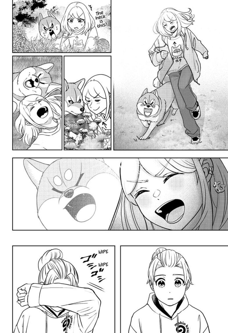 Shiba Tsuki Bukken 43 24