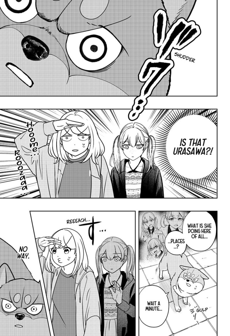 Shiba Tsuki Bukken 45 16