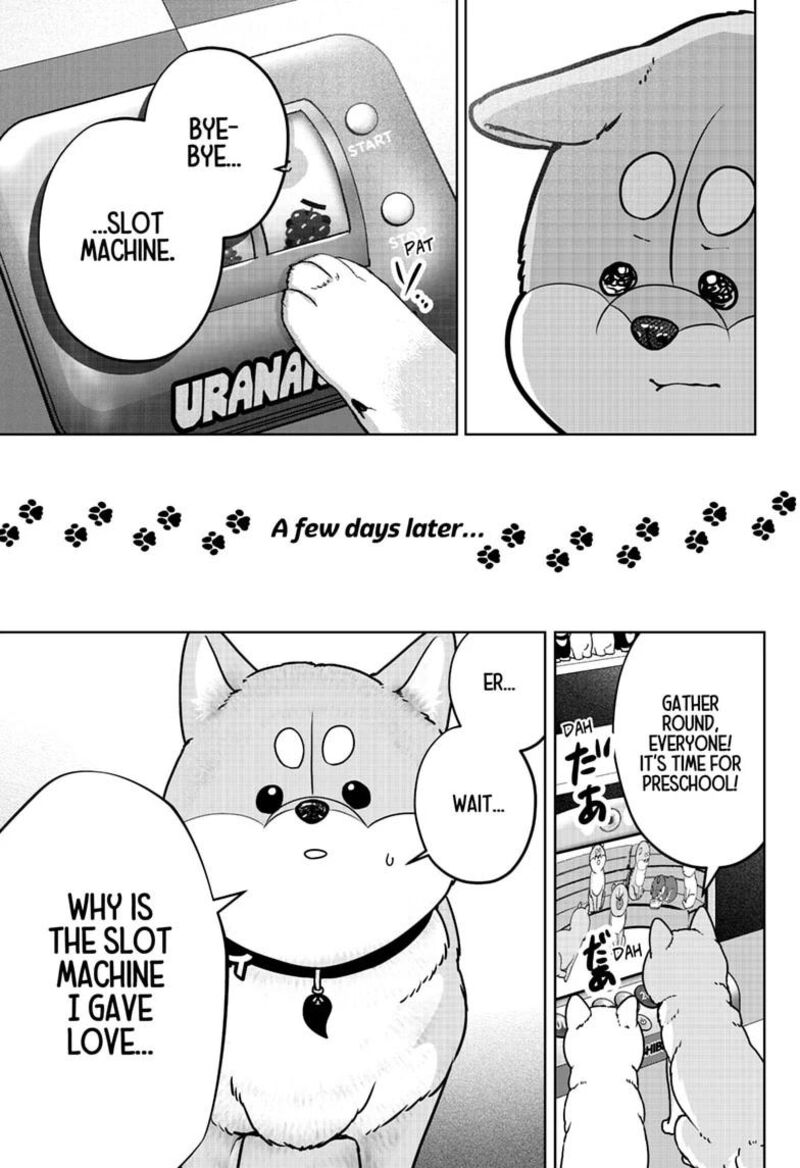 Shiba Tsuki Bukken 61 17