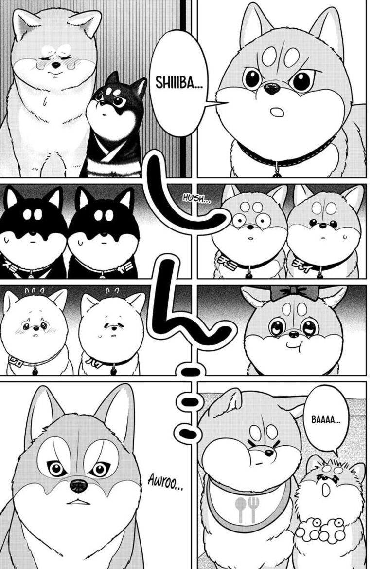 Shiba Tsuki Bukken 62 13
