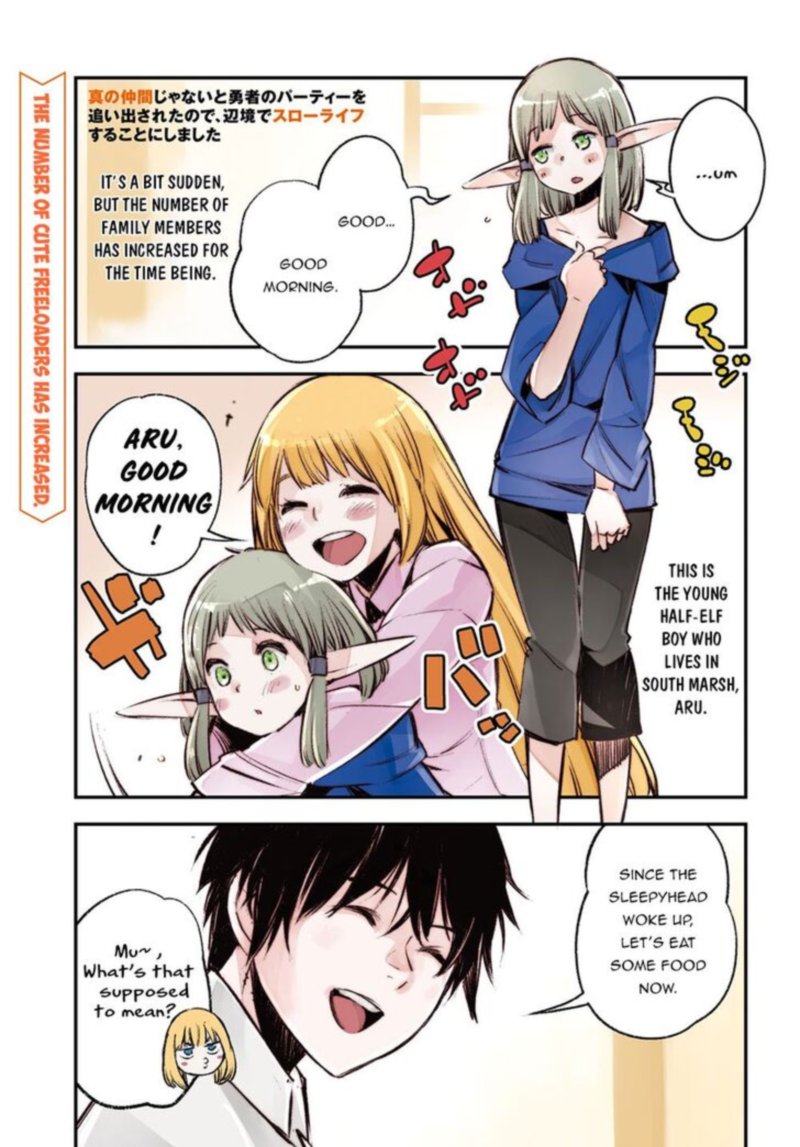 Shin No Nakama Janai To Yuusha No Party Wo Oidasareta Node 24 1