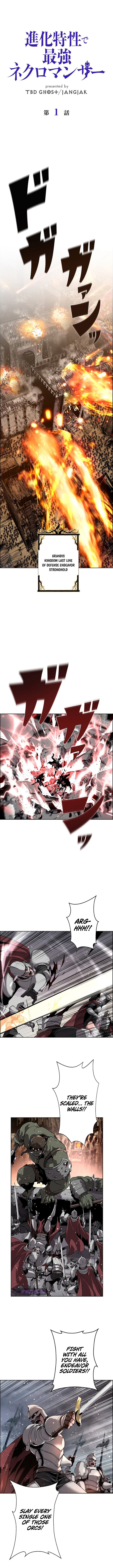 Shinka Tokusei De Saikyou Necromancer 1 1