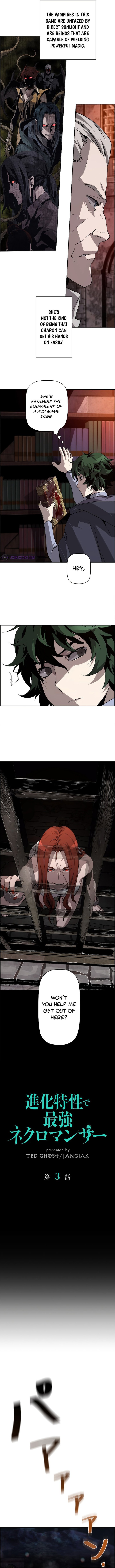 Shinka Tokusei De Saikyou Necromancer 3 3