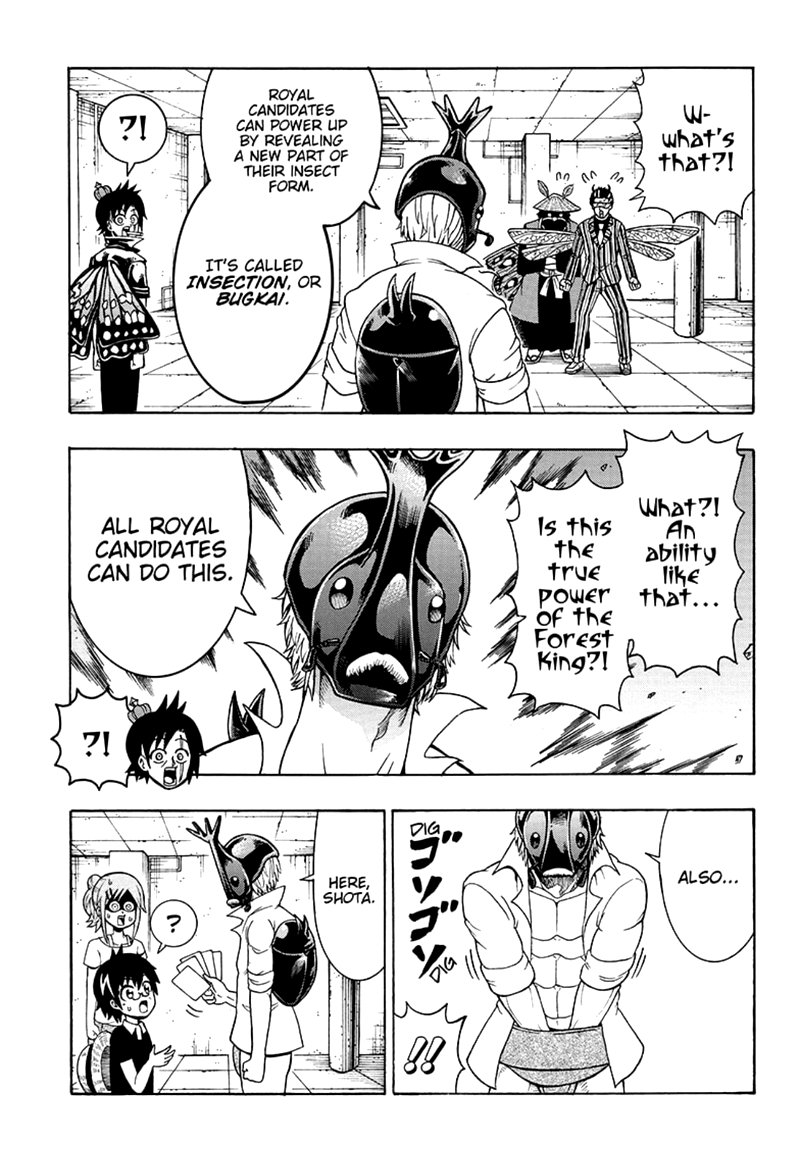 Shinrin Ousha Mori King 24 7