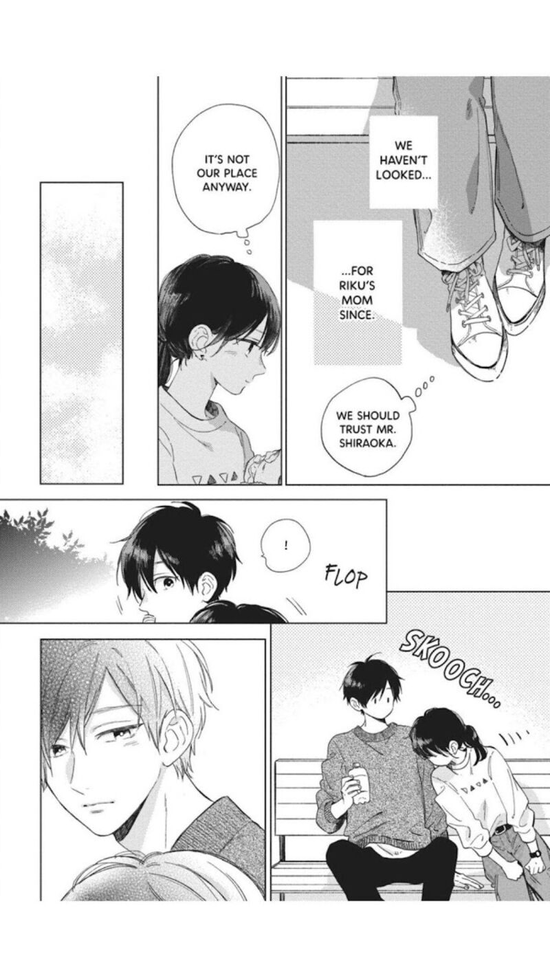 Short Cake Cake 41 3
