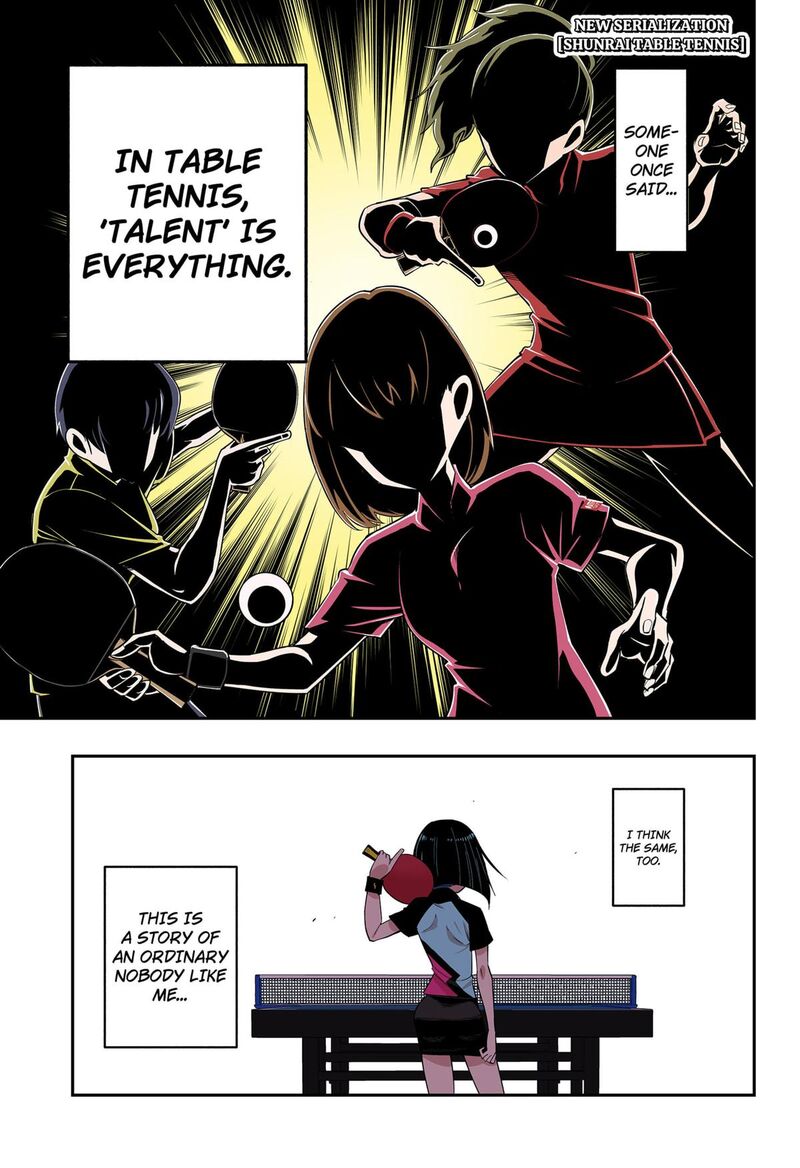 Shunrai Table Tennis 1 1