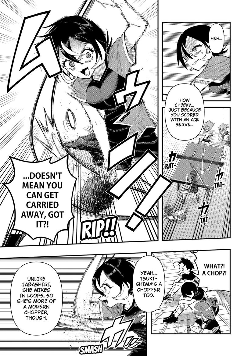 Shunrai Table Tennis 15 3