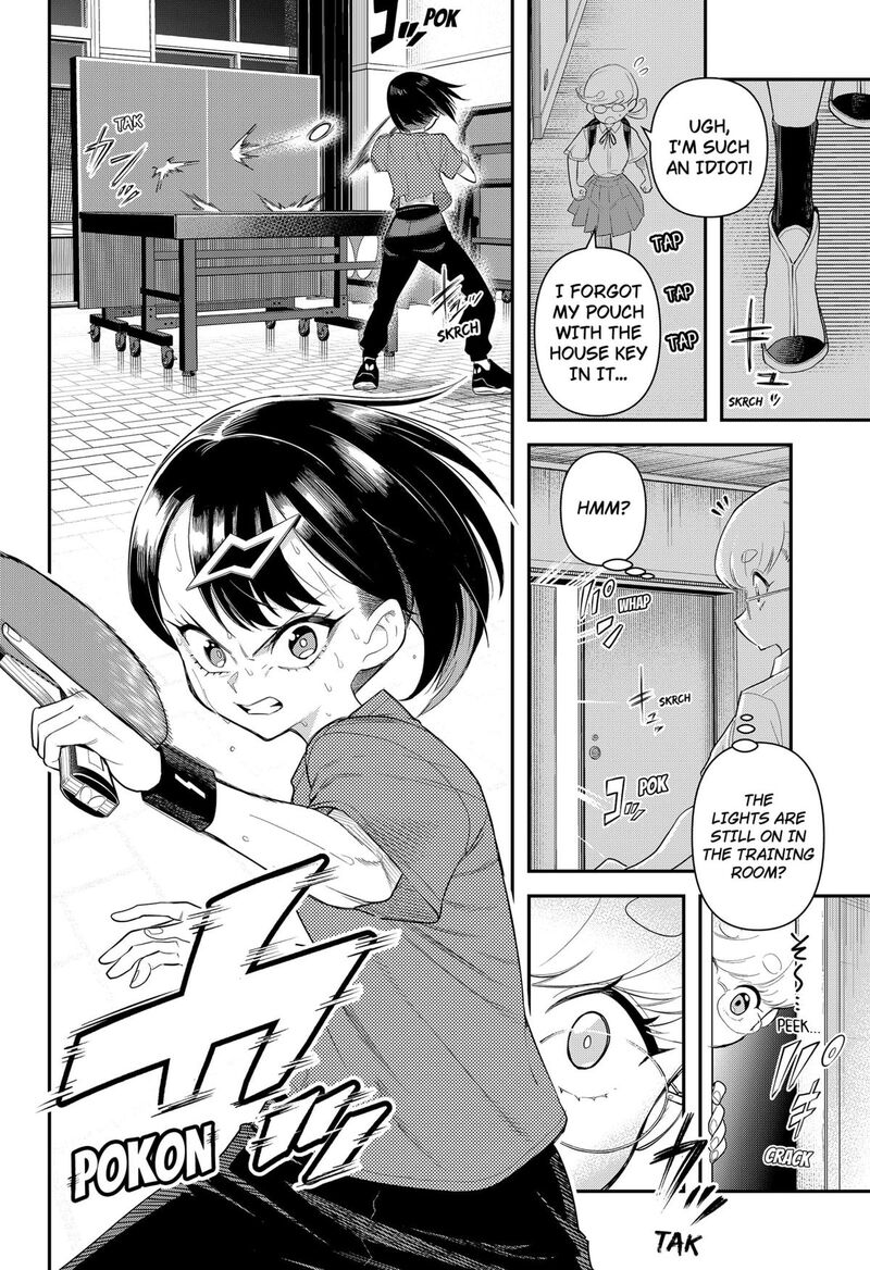 Shunrai Table Tennis 2 12