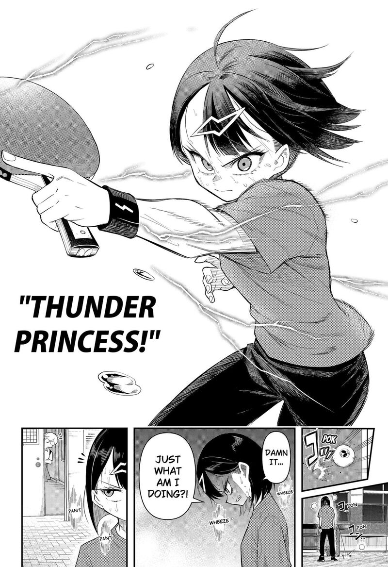 Shunrai Table Tennis 2 14