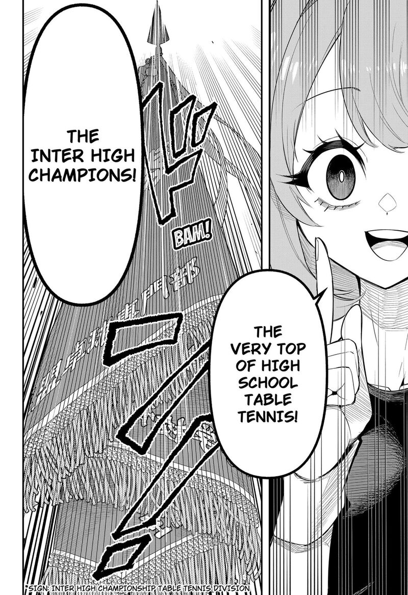 Shunrai Table Tennis 2 27
