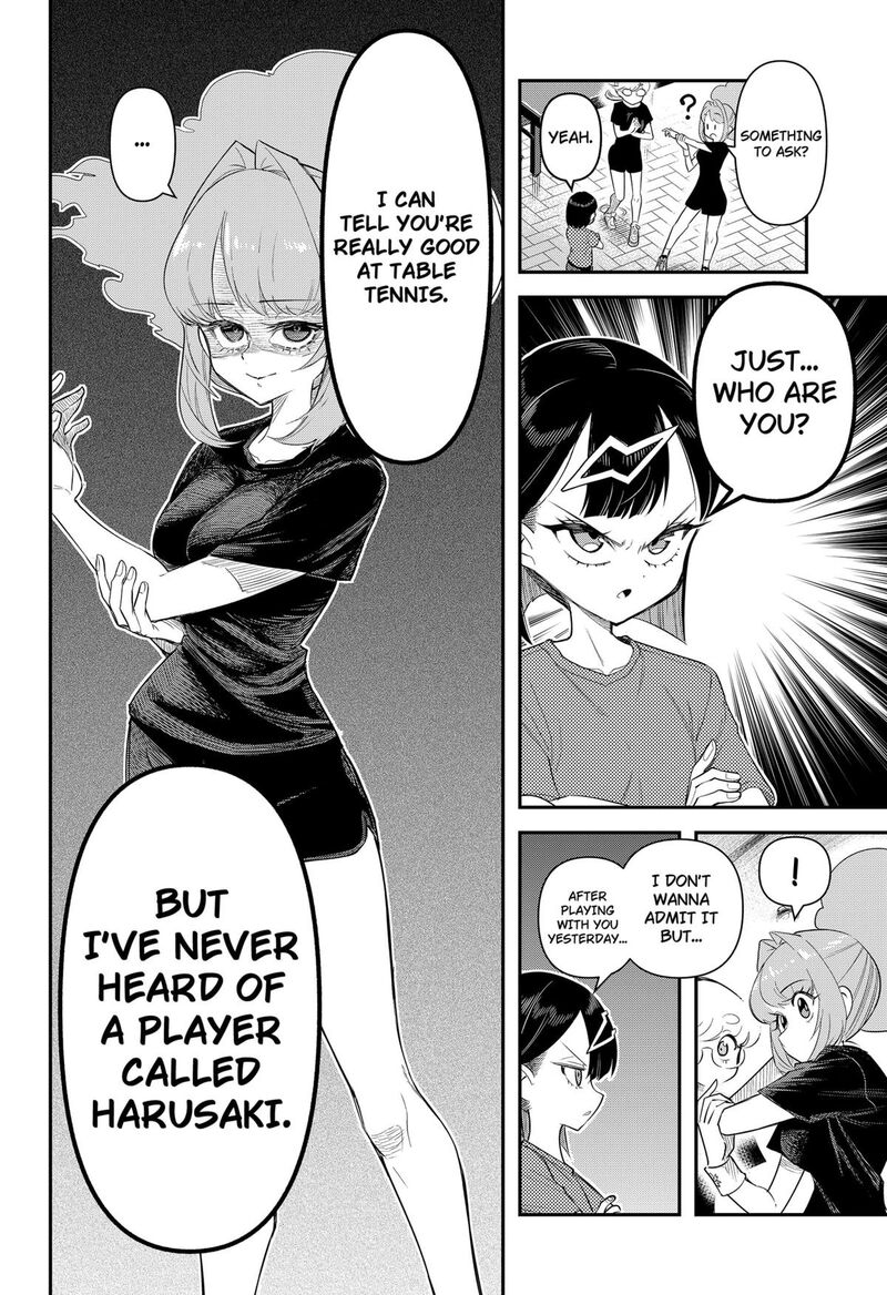 Shunrai Table Tennis 2 6