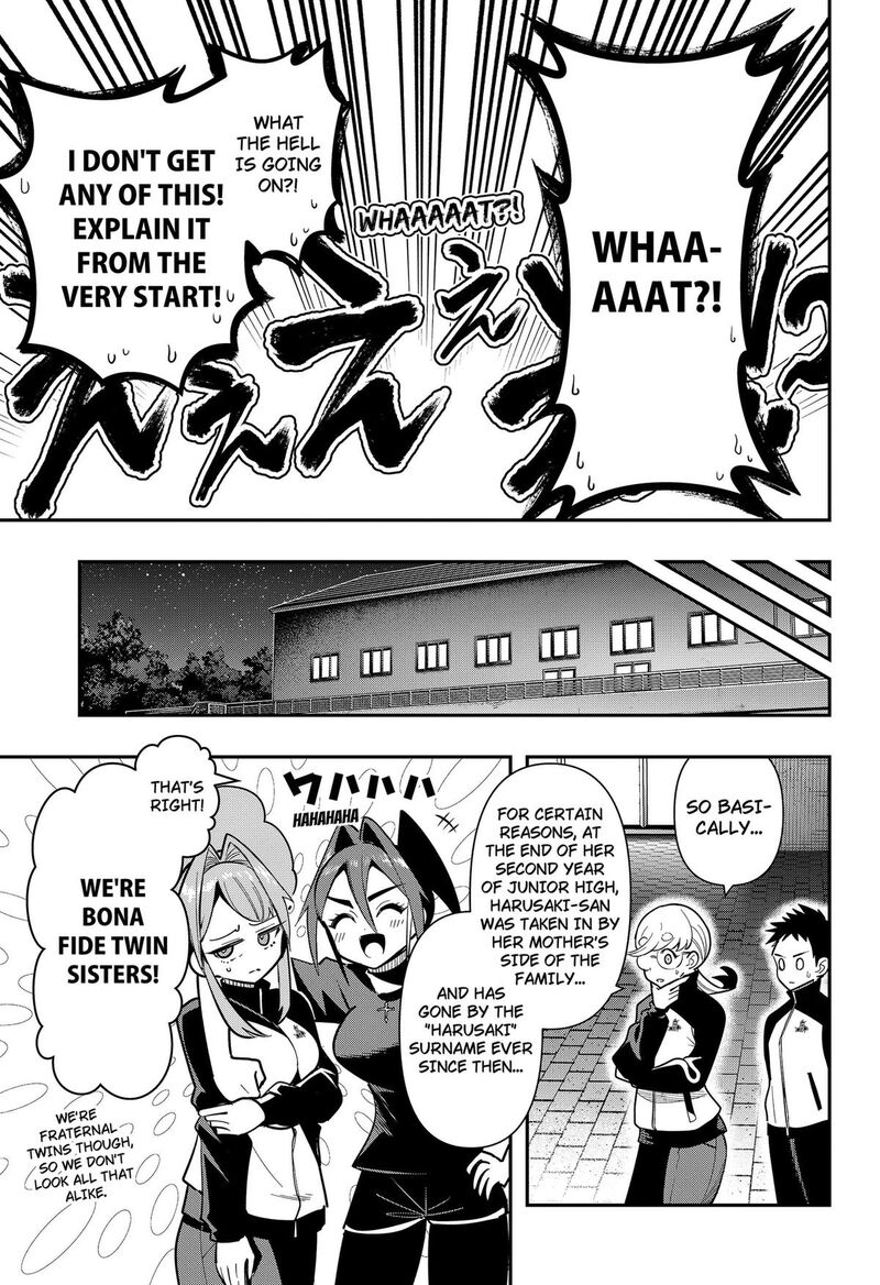 Shunrai Table Tennis 24 11