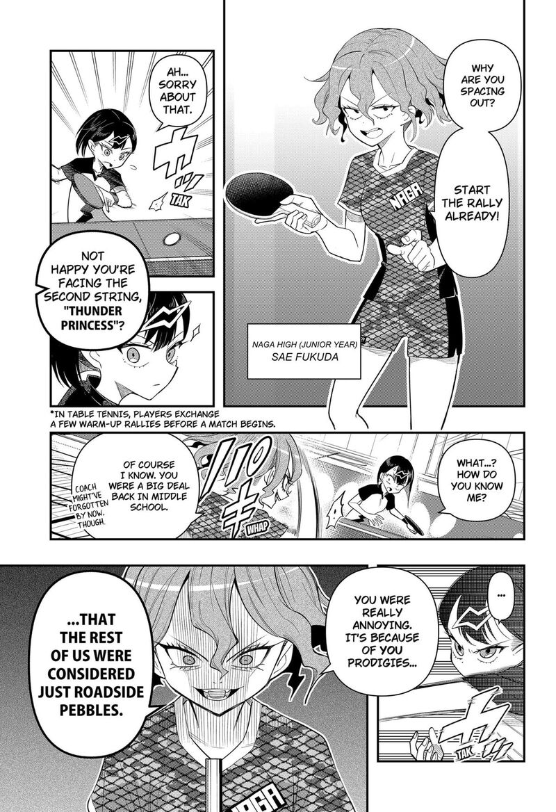 Shunrai Table Tennis 3 13