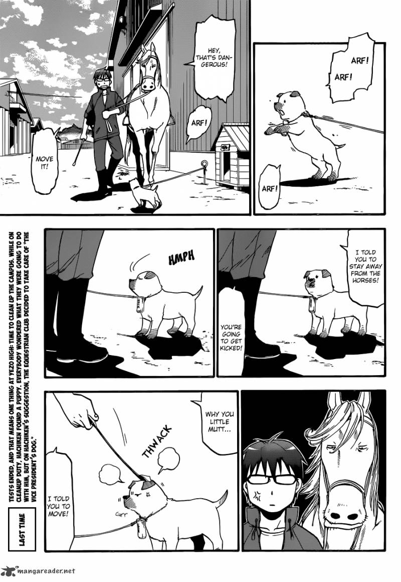 Silver Spoon 37 4