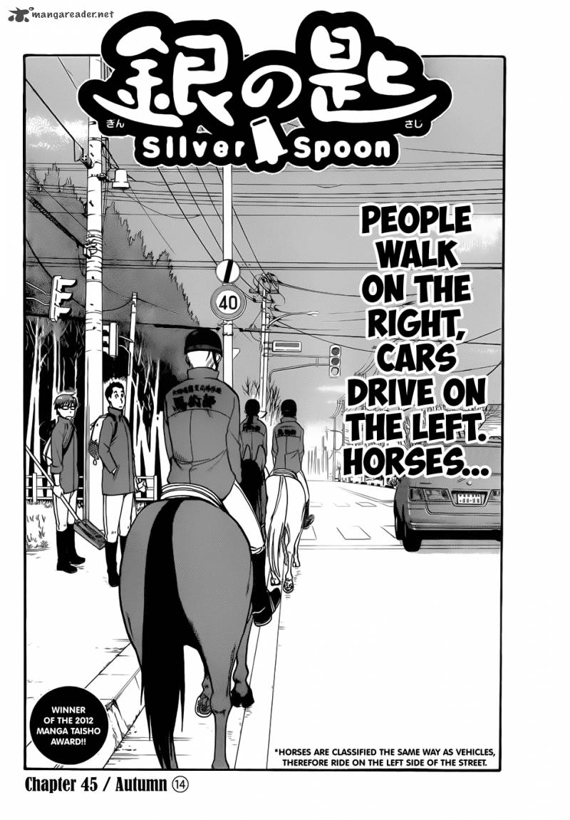 Silver Spoon 45 7