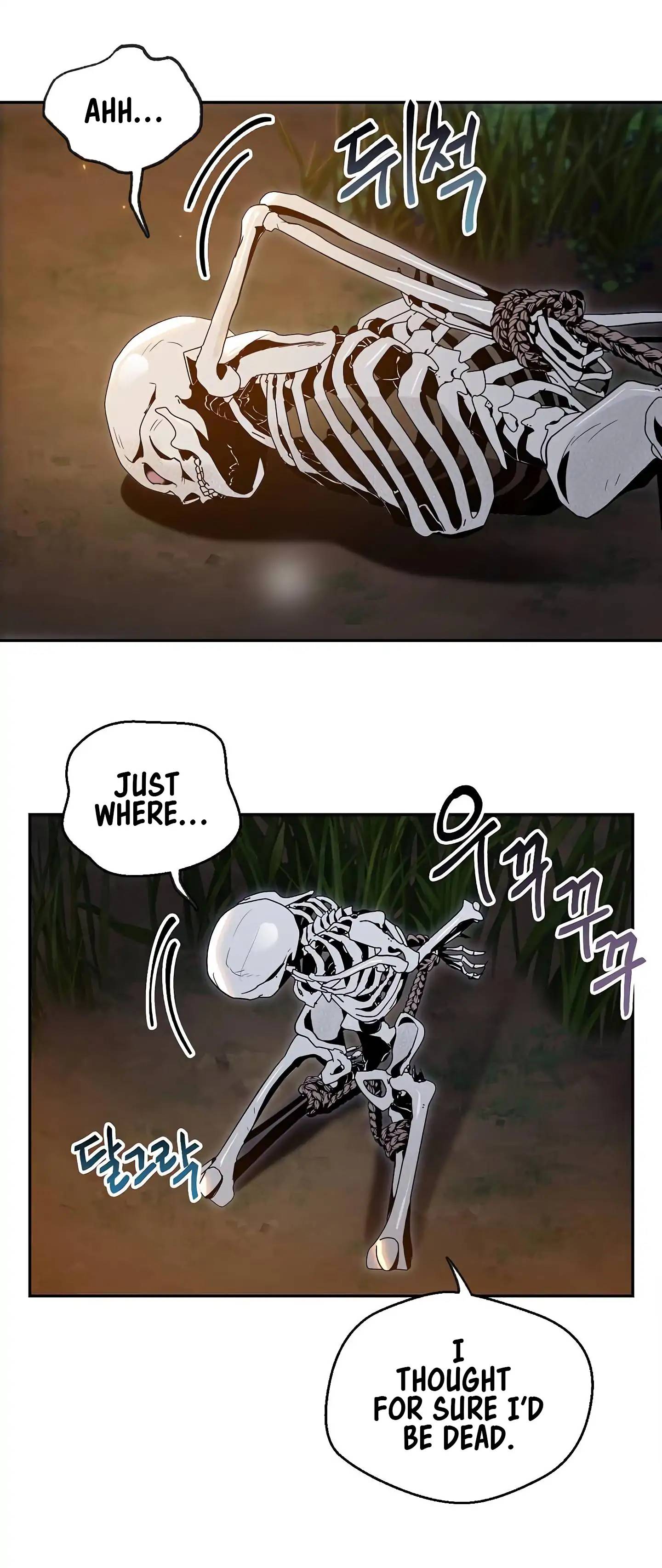Skeleton Soldier Couldnt Protect The Dungeon 60 8