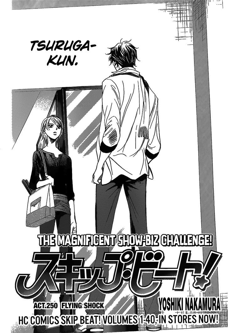 Skip Beat 250 2