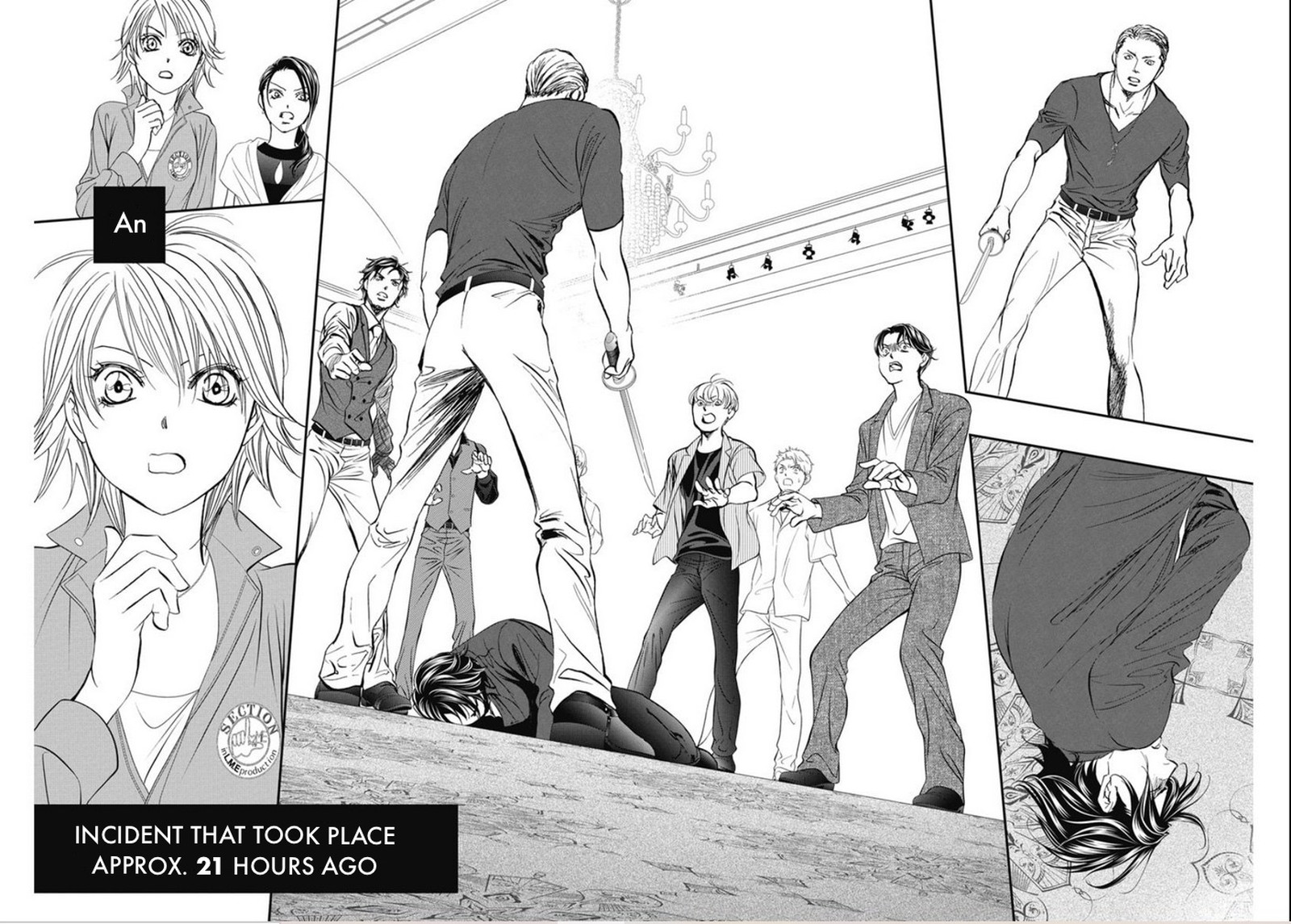 Skip Beat 320 2