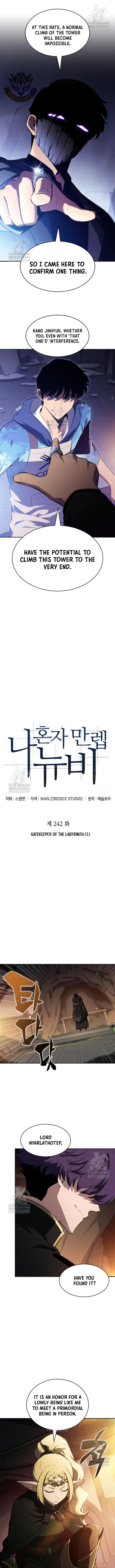 Solo Max Level Newbie 242 4