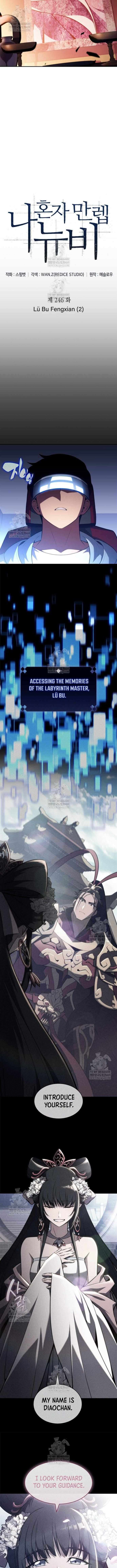 Solo Max Level Newbie 246 2