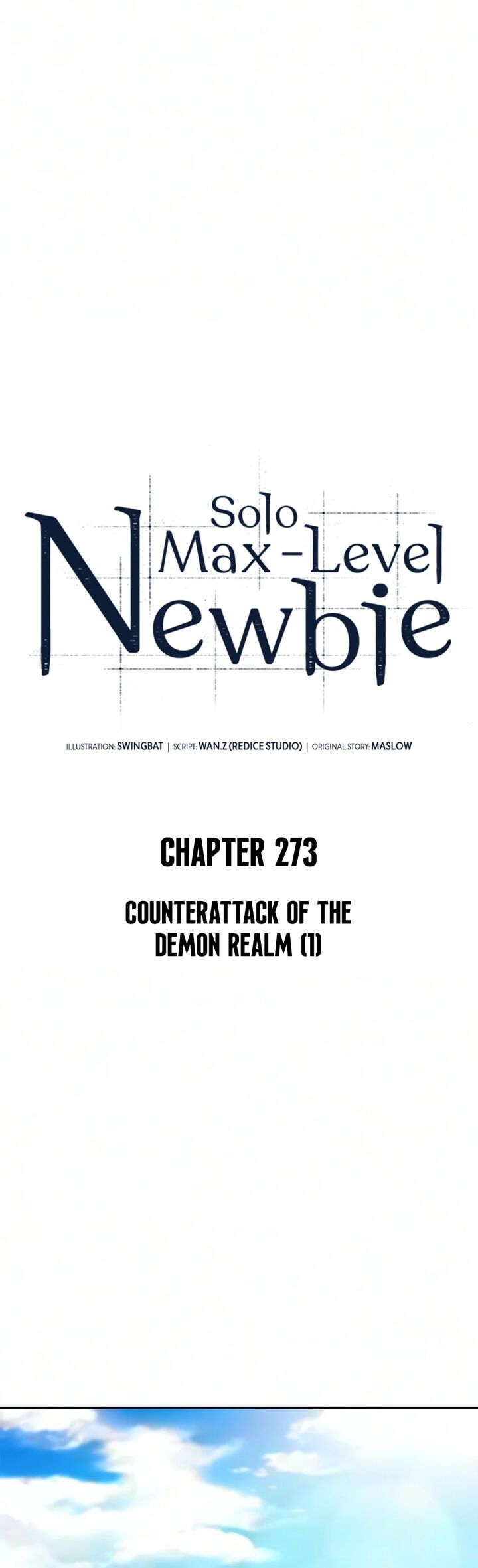 Solo Max Level Newbie 273 6