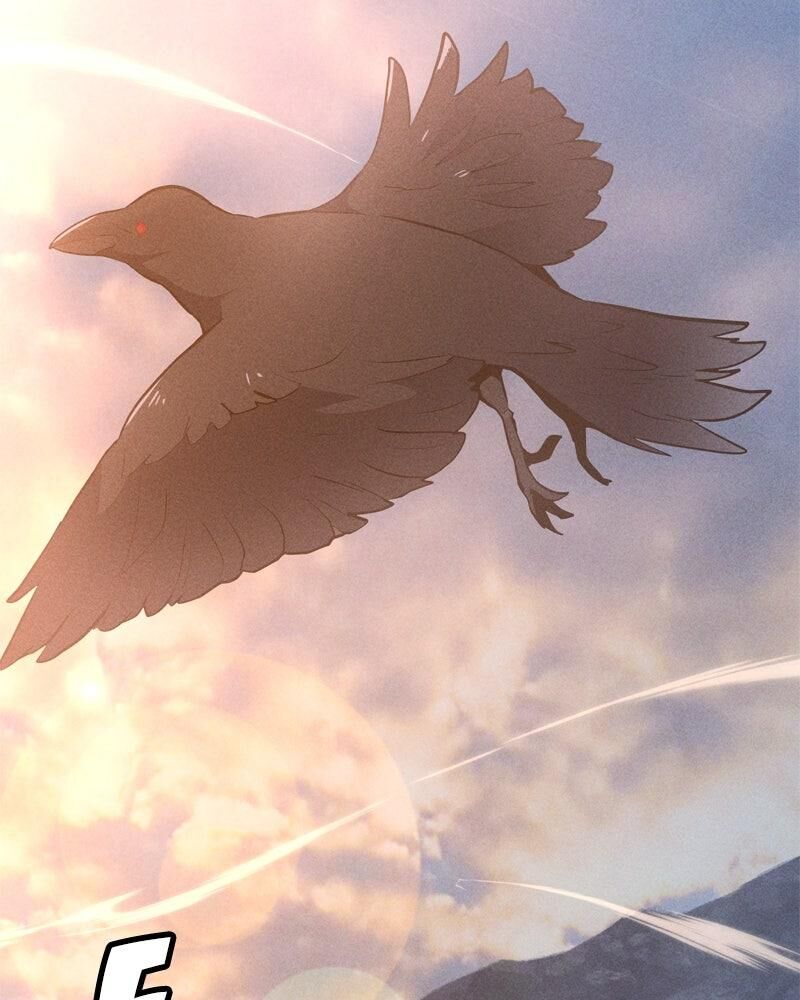 Solo Spell Caster 208 29