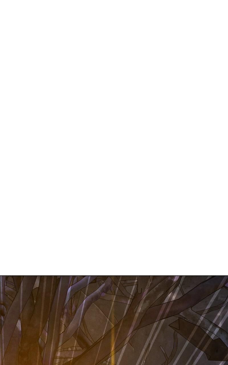 Solo Spell Caster 219 77