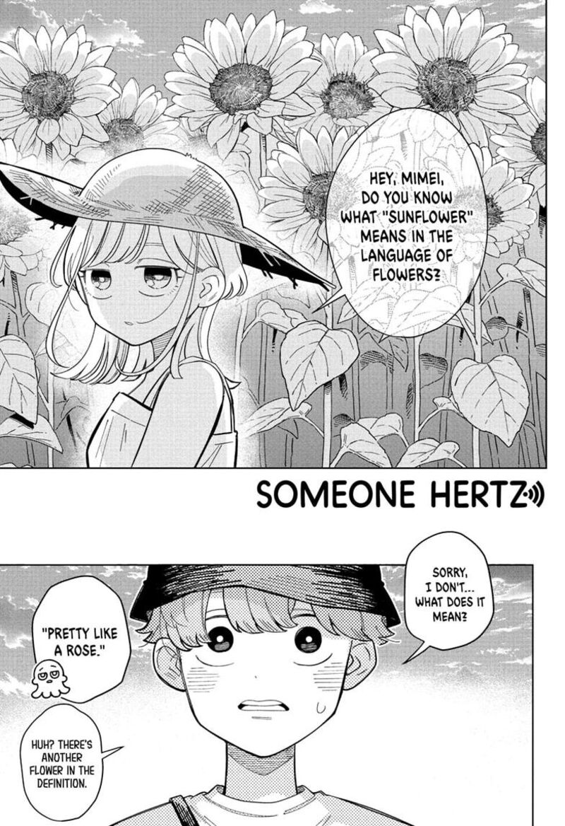 Someone Hertz 33 1