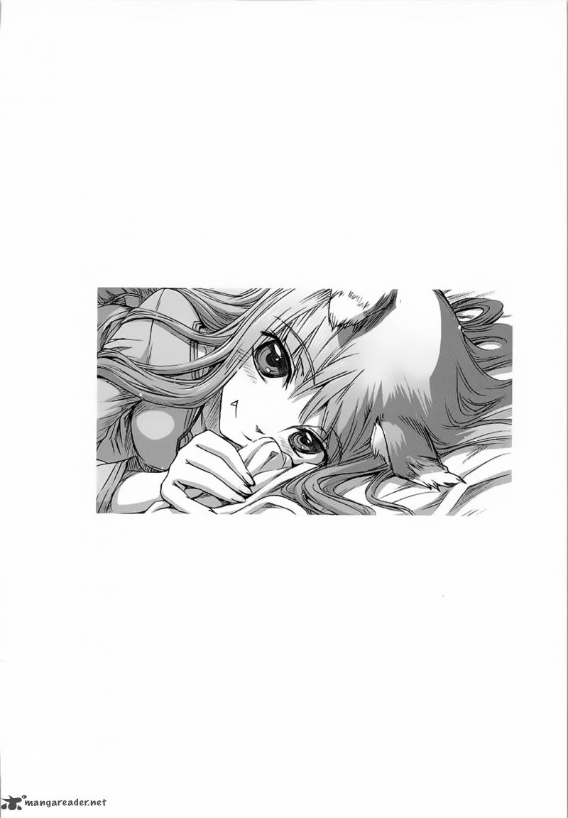 Spice And Wolf 27 31