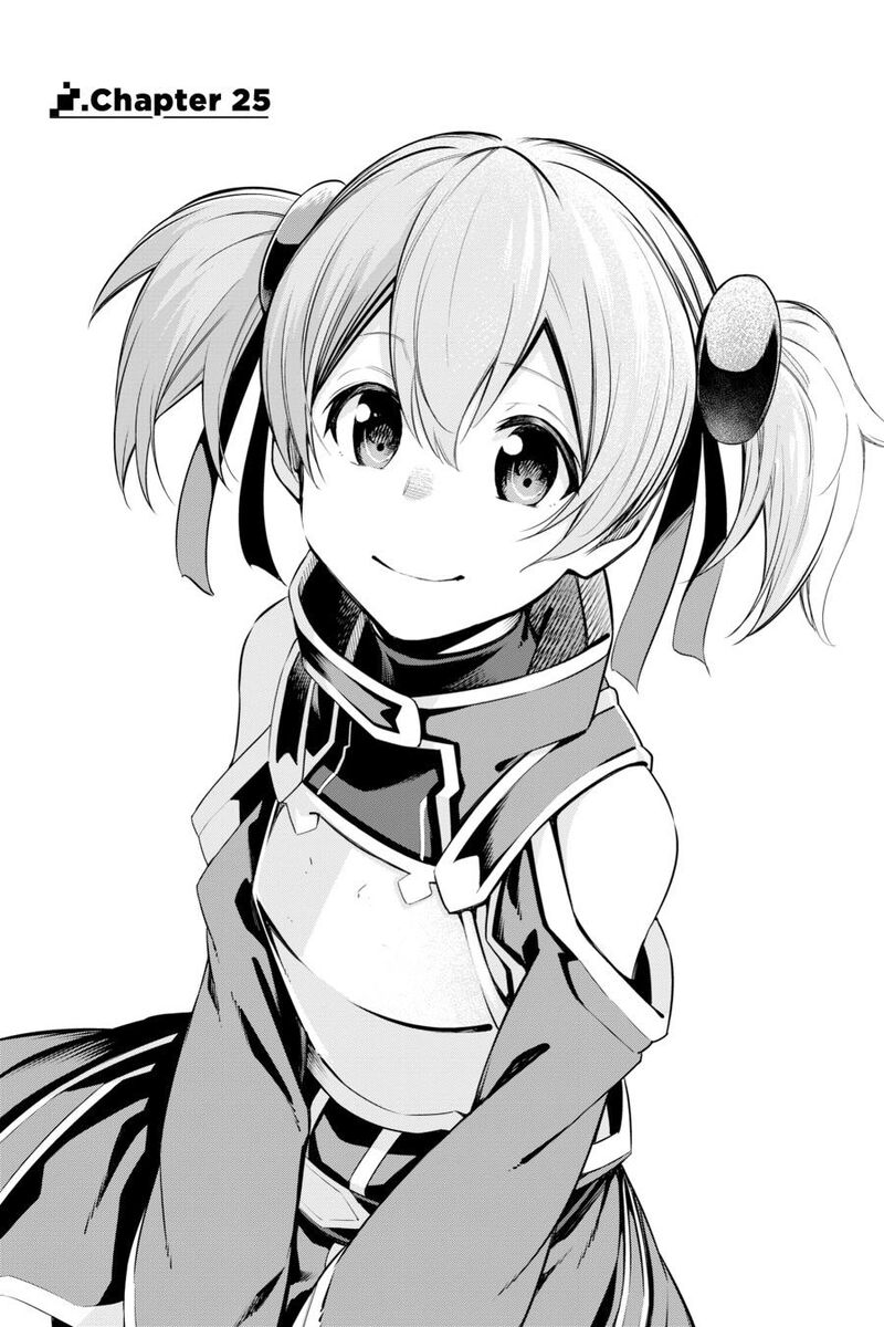 Sword Art Online Reaincrad 25 1