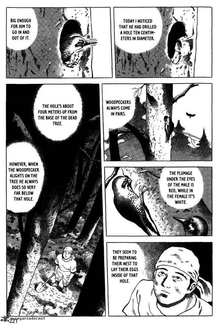 Tales Of A Charcoal Burner 11 5