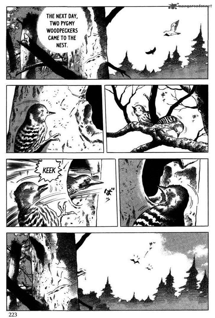 Tales Of A Charcoal Burner 11 7