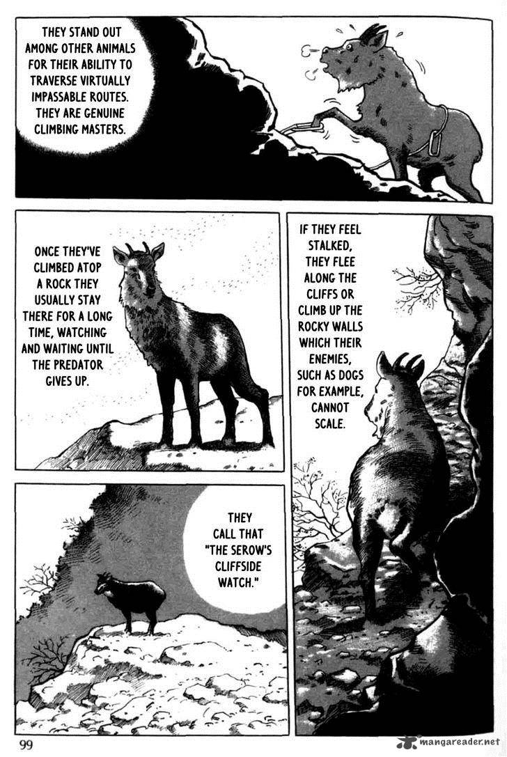 Tales Of A Charcoal Burner 5 5