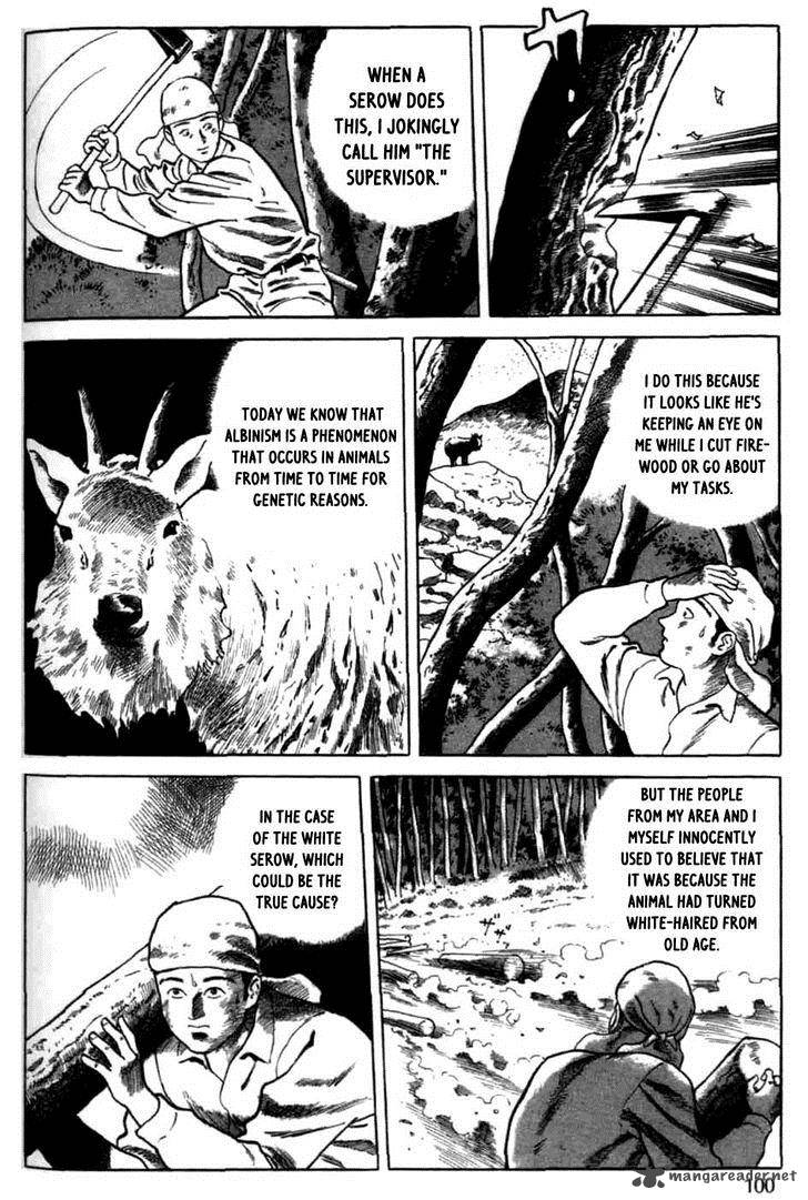 Tales Of A Charcoal Burner 5 6