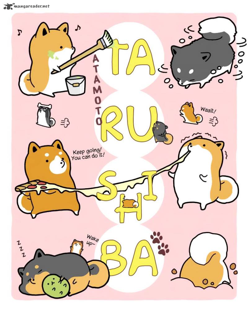 Taru Shiba 1 3