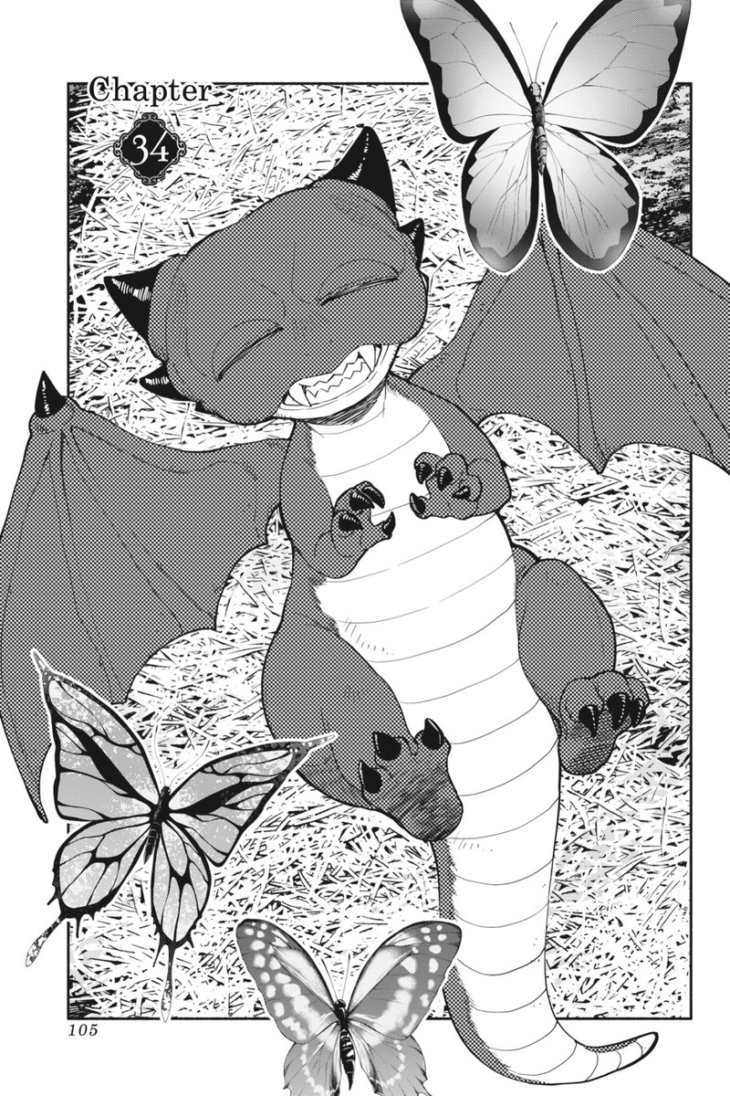 Tensei Goblin Dakedo Shitsumon Aru 34 1
