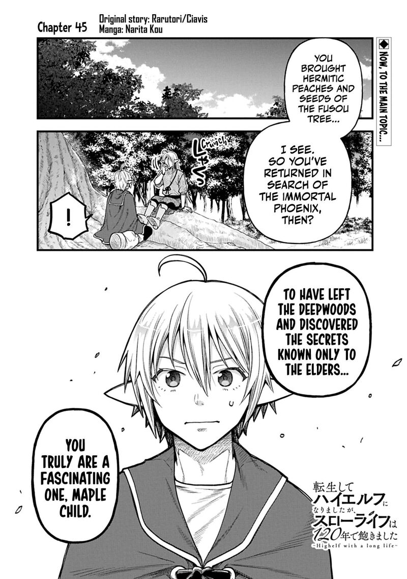 Tensei Shite High Elf Ni Narimashitaga Slow Life Wa 120 Nen De Akimashita 45 2