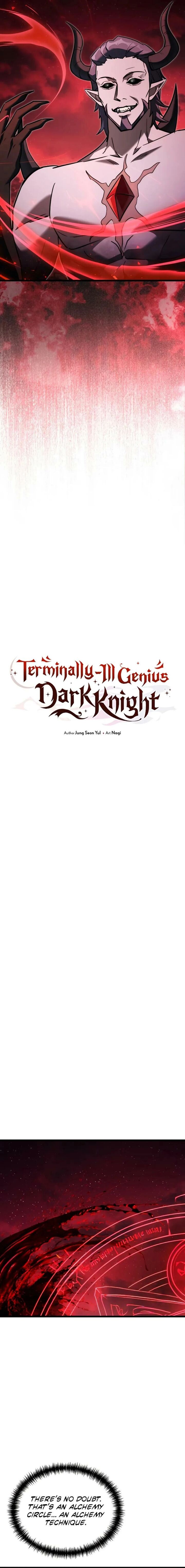 Terminally Ill Genius Dark Knight 139 13