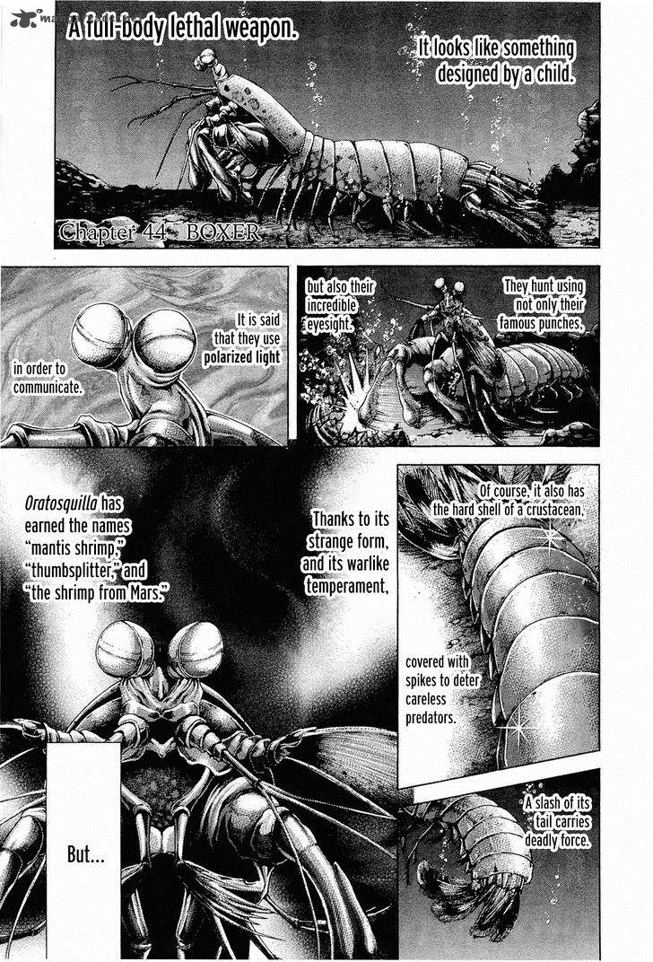 Terra Formars 44 1