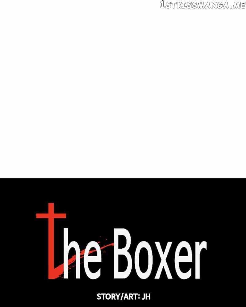 The Boxer 135 50