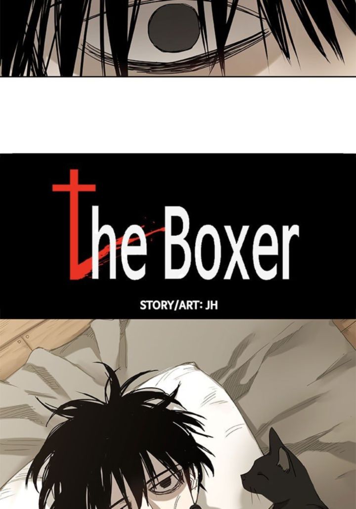 The Boxer 24 11