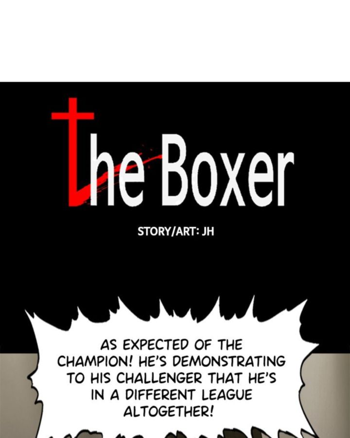 The Boxer 29 61