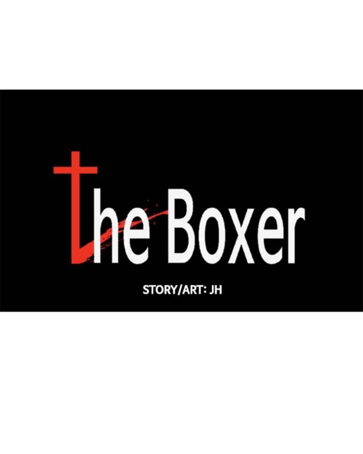 The Boxer 31 15