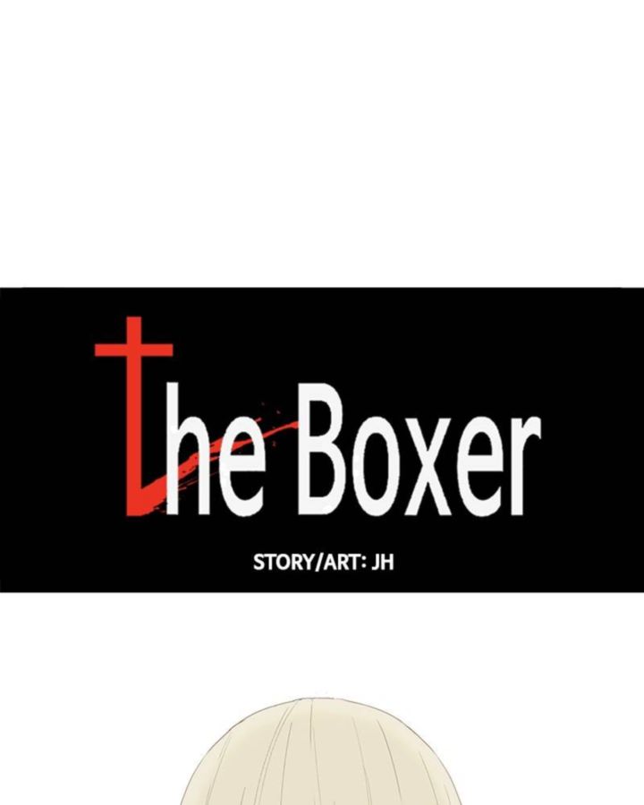 The Boxer 33 25
